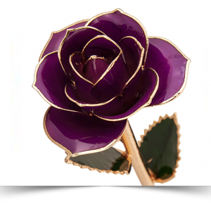 ROYAL PURPLE
